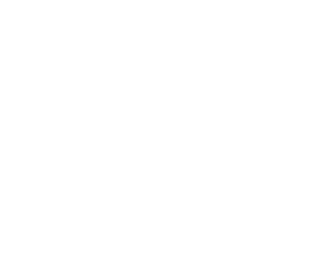 repair period