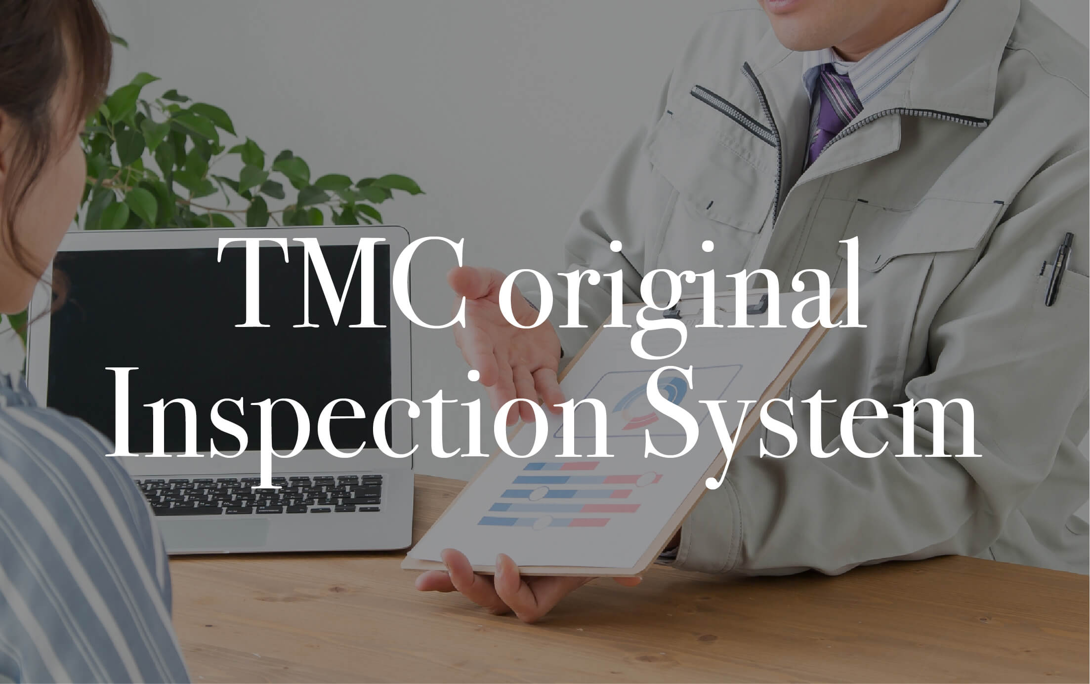 TMC original Inspection System